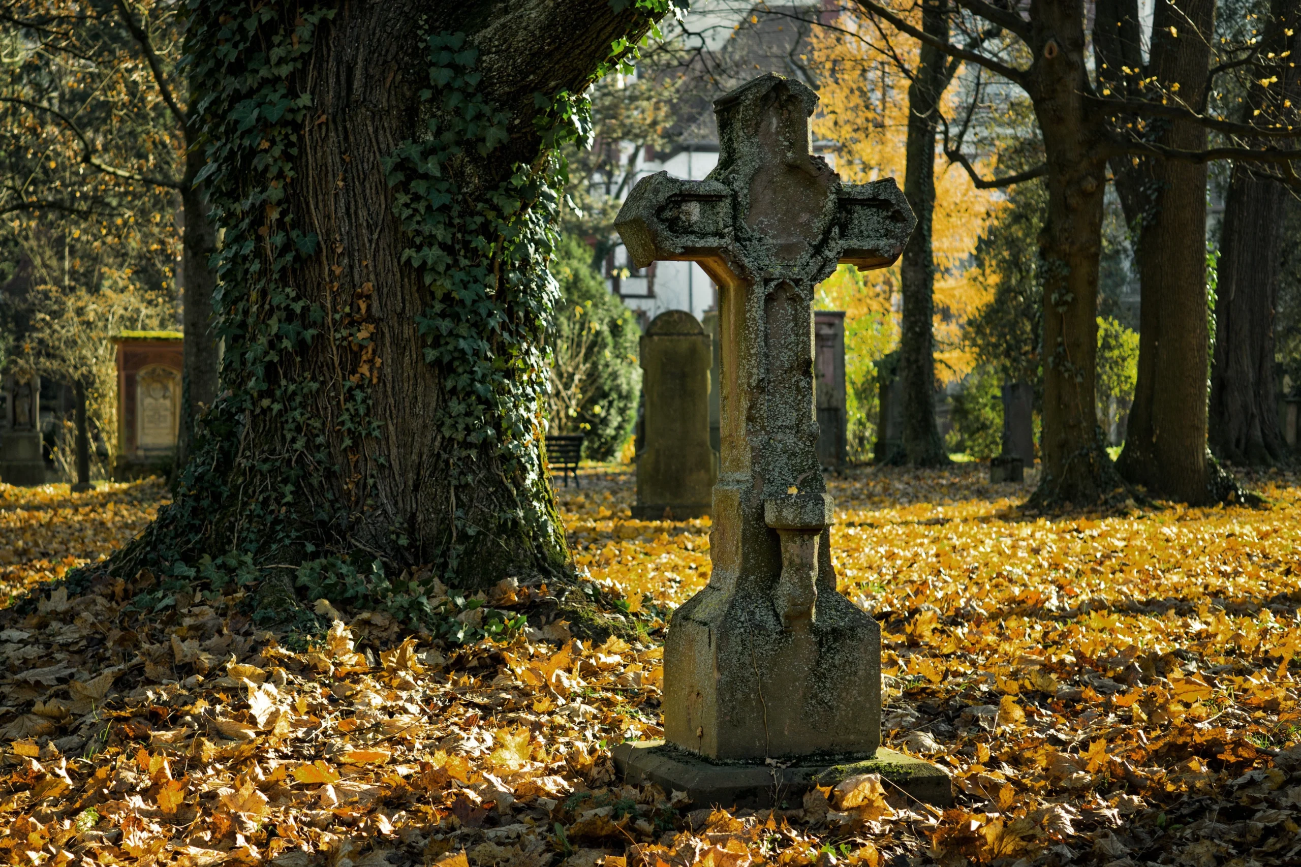 cemetery